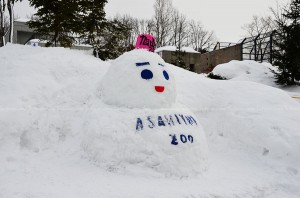 Asahiyama Zoo