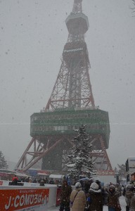 Sapporo Snow Festival 2013 (3)